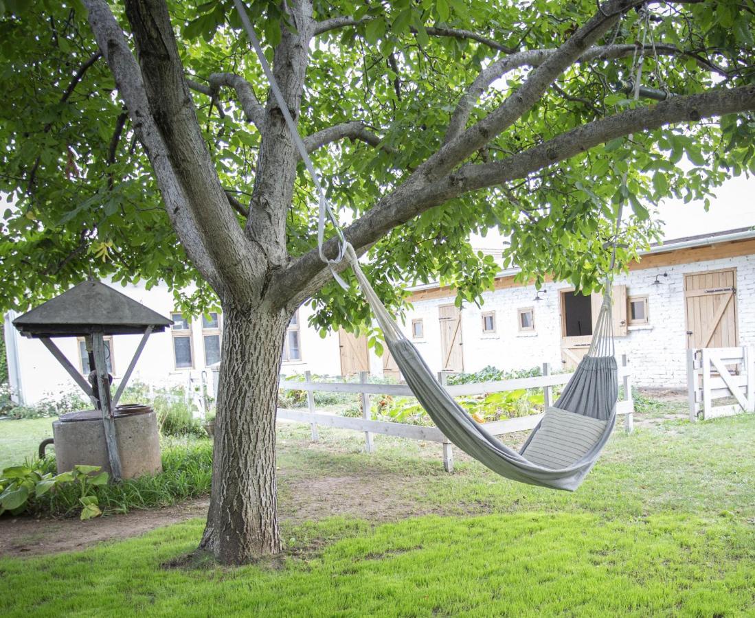 Apartmán Cozy Airport Vecsés Exteriér fotografie